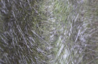 Pound Hill fibreglass roof work